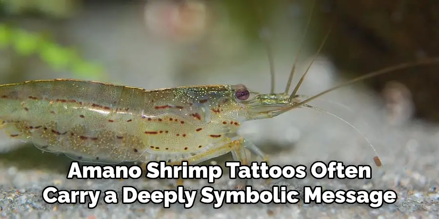 Amano Shrimp Tattoos Often
Carry a Deeply Symbolic Message