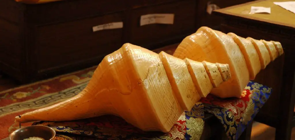 Chank Shell Spiritual Meaning, Symbolism and Totem