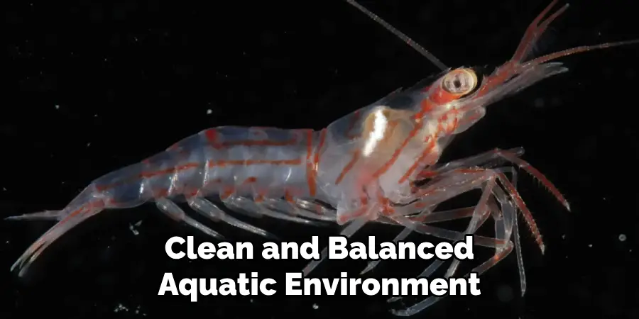 Clean and Balanced
Aquatic Environment