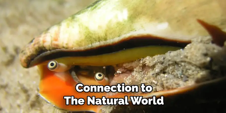 Connection to
The Natural World