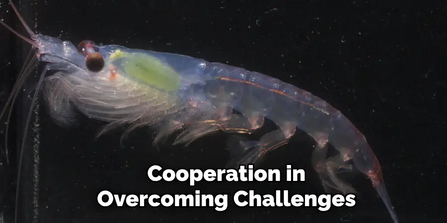 Cooperation in
Overcoming Challenges