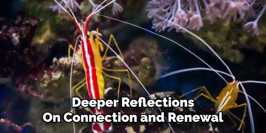 Deeper Reflections
On Connection and Renewal