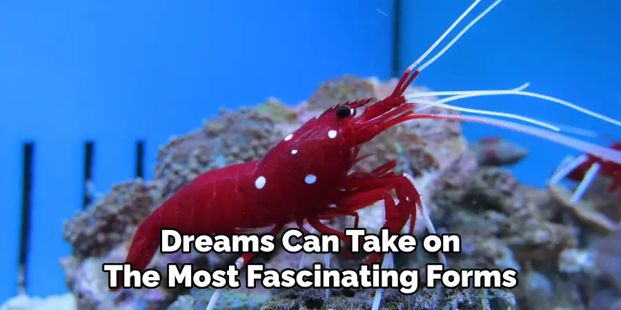 Dreams Can Take on
The Most Fascinating Forms