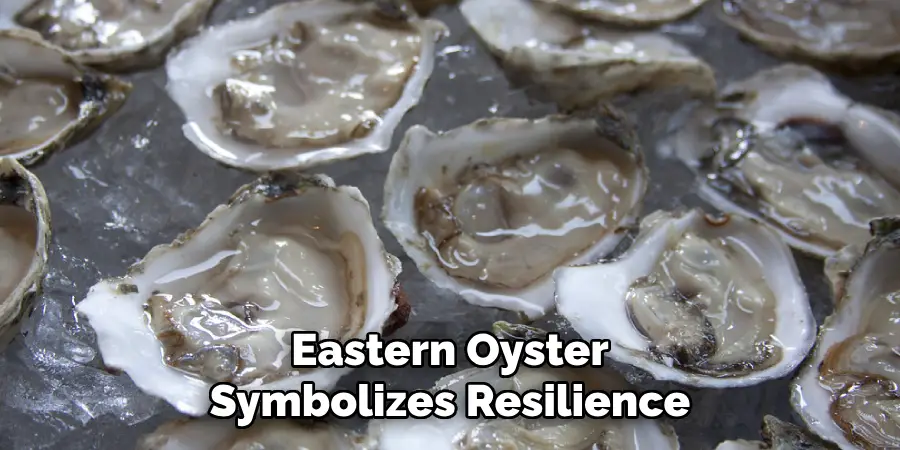 Eastern Oyster
Symbolizes Resilience
