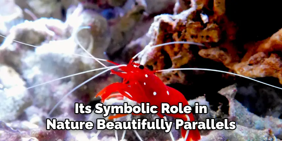 Its Symbolic Role in
Nature Beautifully Parallels