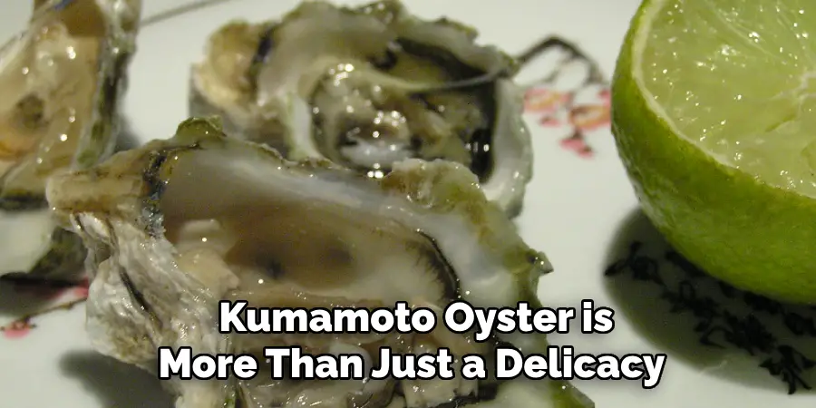 Kumamoto Oyster is
More Than Just a Delicacy