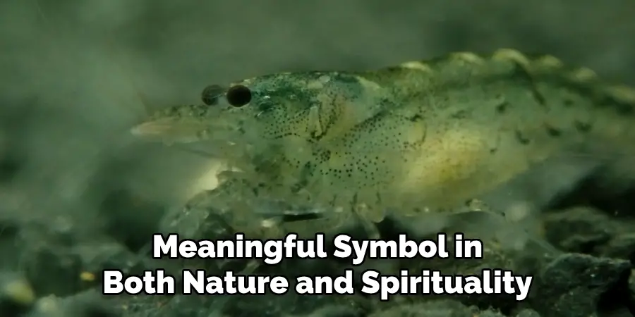 Meaningful Symbol in
Both Nature and Spirituality