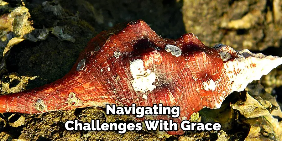 Navigating
Challenges With Grace