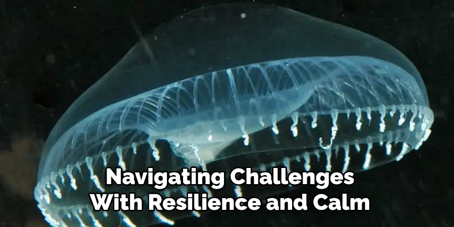 Navigating Challenges
With Resilience and Calm