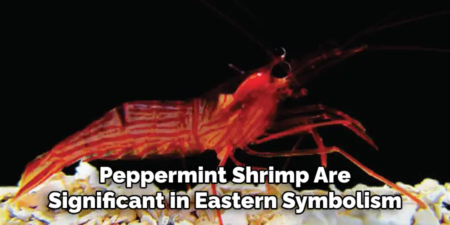 Peppermint Shrimp Are
Significant in Eastern Symbolism