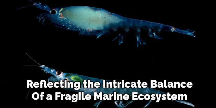 Reflecting the Intricate Balance
Of a Fragile Marine Ecosystem