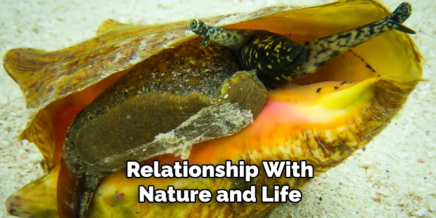 Relationship With
Nature and Life