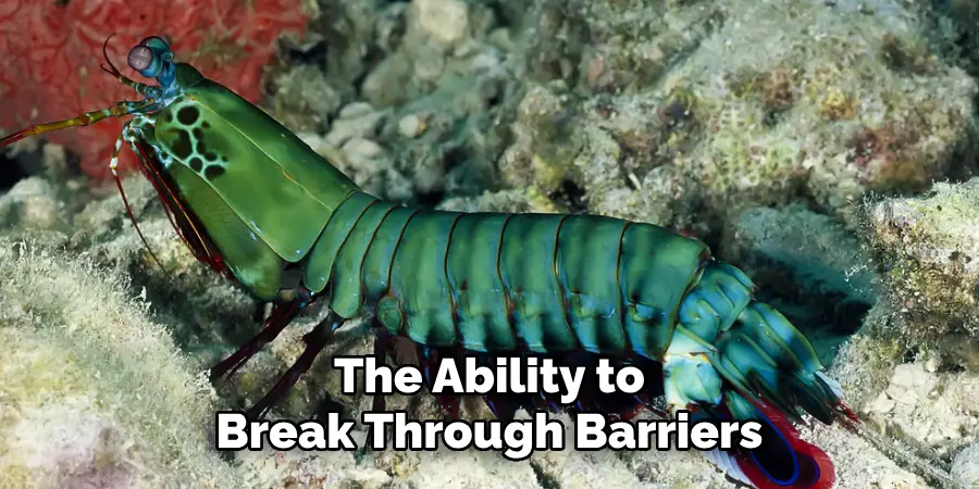The Ability to
Break Through Barriers