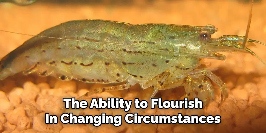 The Ability to Flourish
In Changing Circumstances