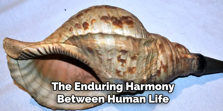 The Enduring Harmony
Between Human Life