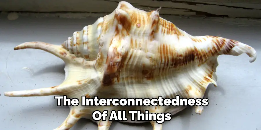 The Interconnectedness
Of All Things