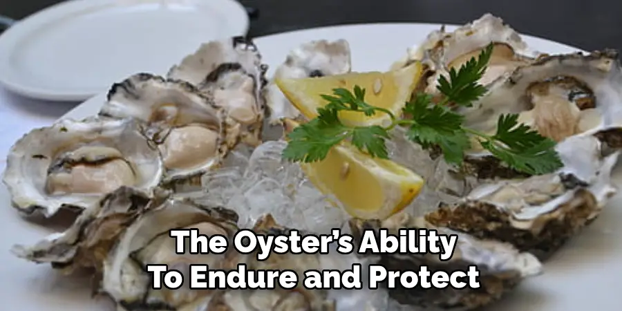 The Oyster’s Ability
To Endure and Protect