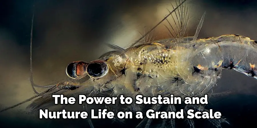 The Power to Sustain and
Nurture Life on a Grand Scale