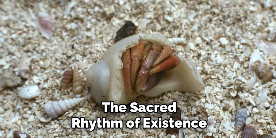 The Sacred
Rhythm of Existence