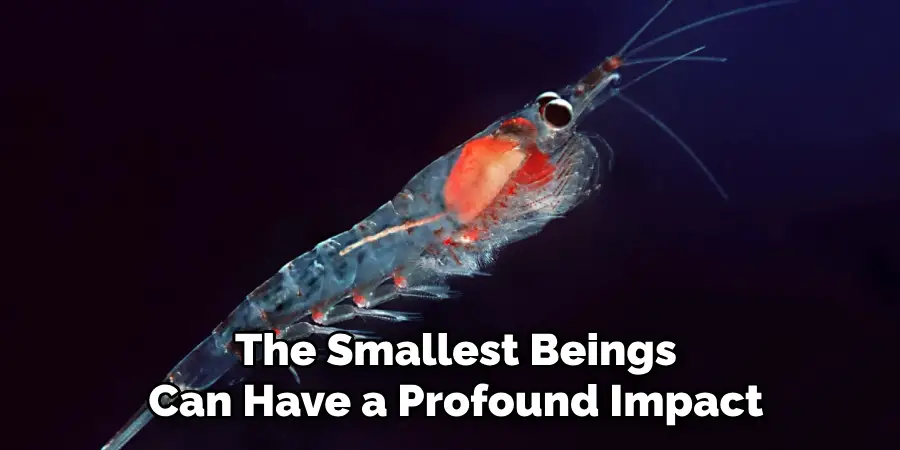The Smallest Beings
Can Have a Profound Impact