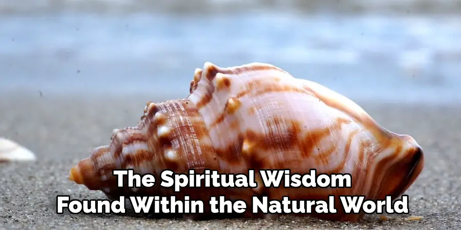 The Spiritual Wisdom
Found Within the Natural World
