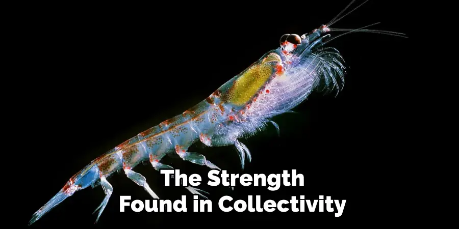 The Strength
Found in Collectivity