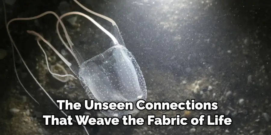 The Unseen Connections
That Weave the Fabric of Life