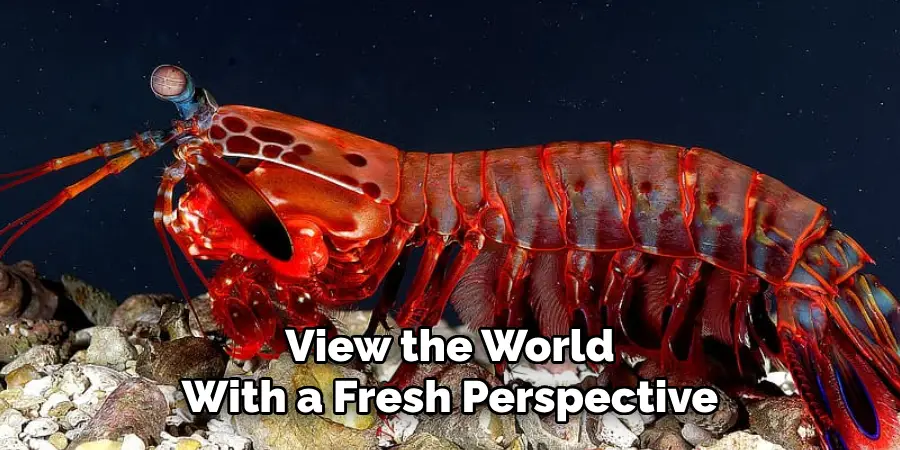 View the World
With a Fresh Perspective