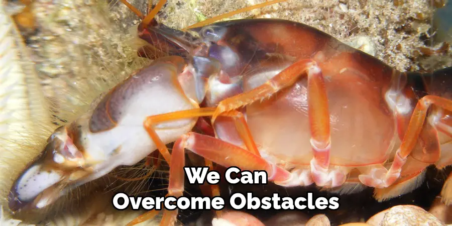 We Can
Overcome Obstacles