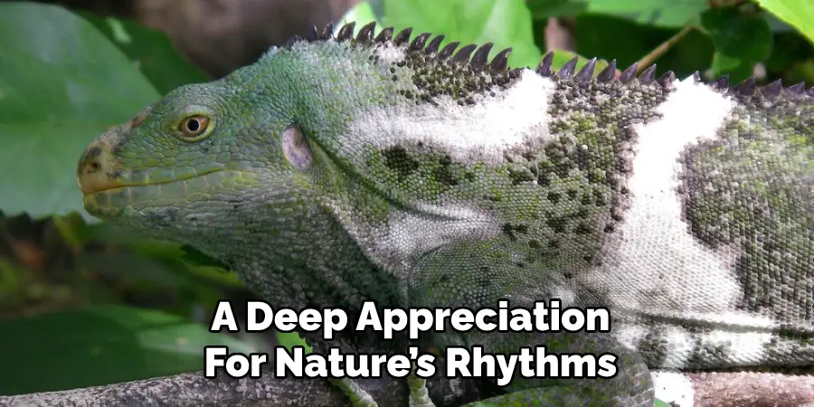 A Deep Appreciation
For Nature’s Rhythms
