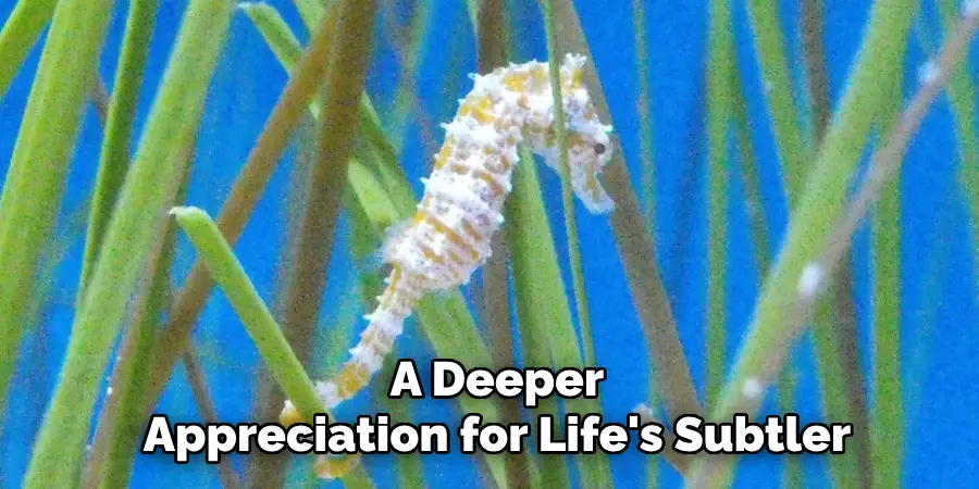 A Deeper
Appreciation for Life's Subtler