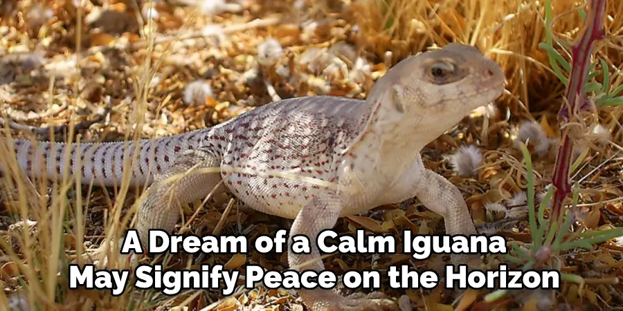 A Dream of a Calm Iguana
May Signify Peace on the Horizon