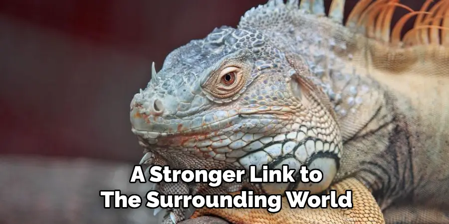 A Stronger Link to
The Surrounding World