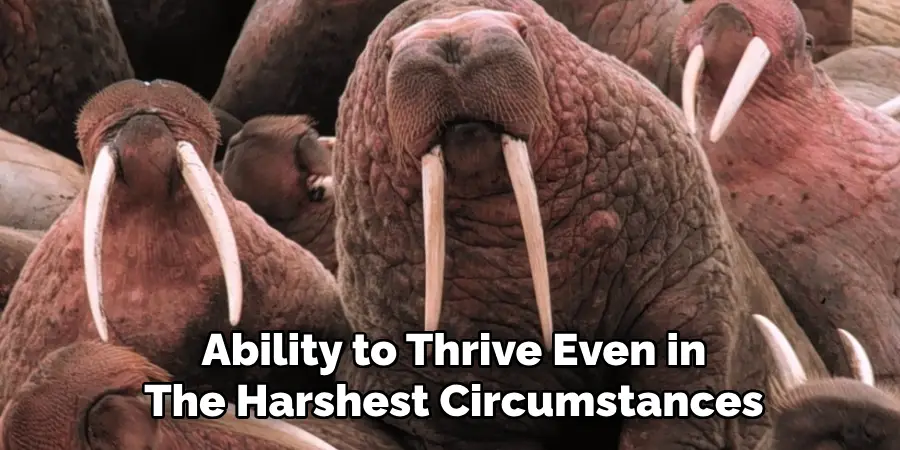 Ability to Thrive Even in
The Harshest Circumstances