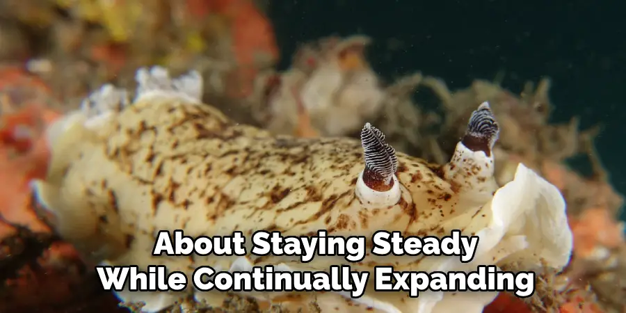 About Staying Steady
While Continually Expanding