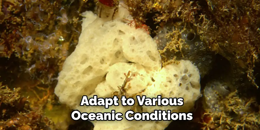Adapt to Various
Oceanic Conditions