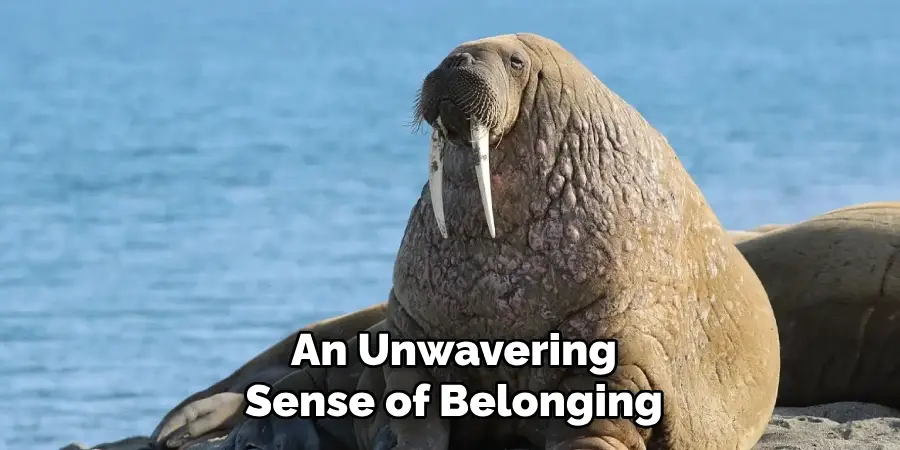 An Unwavering
Sense of Belonging