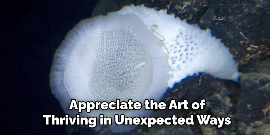 Appreciate the Art of
Thriving in Unexpected Ways