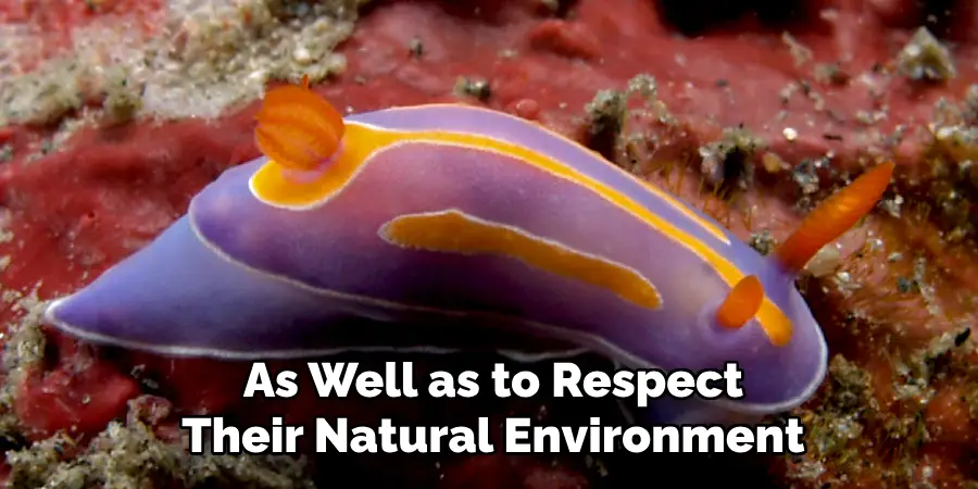 As Well as to Respect
Their Natural Environment