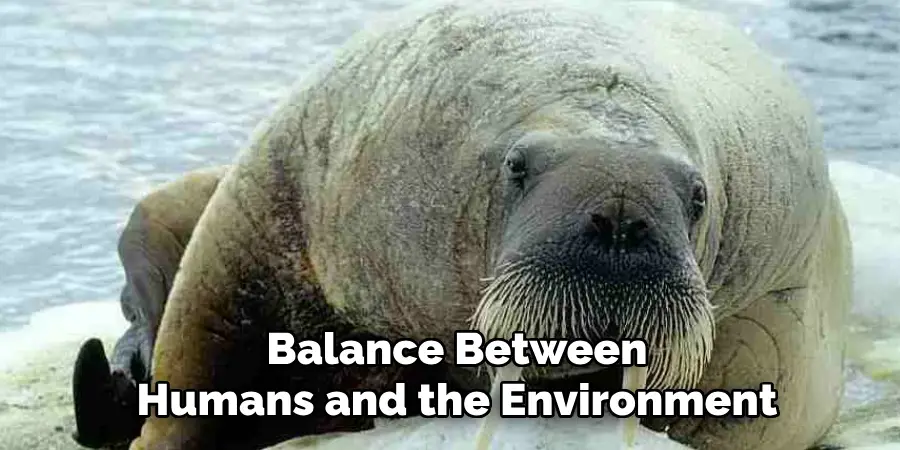 Balance Between
Humans and the Environment
