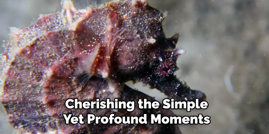 Cherishing the Simple
Yet Profound Moments