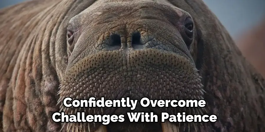 Confidently Overcome
Challenges With Patience
