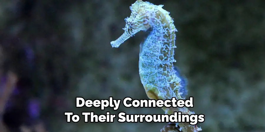 Deeply Connected
To Their Surroundings