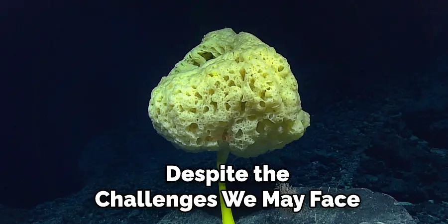 Despite the
Challenges We May Face