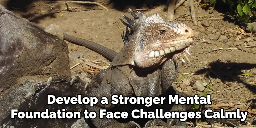 Develop a Stronger Mental
Foundation to Face Challenges Calmly