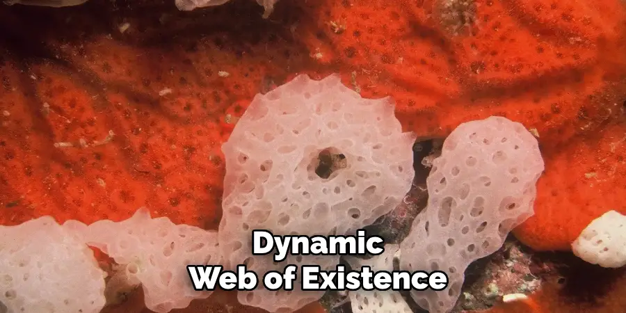 Dynamic
Web of Existence