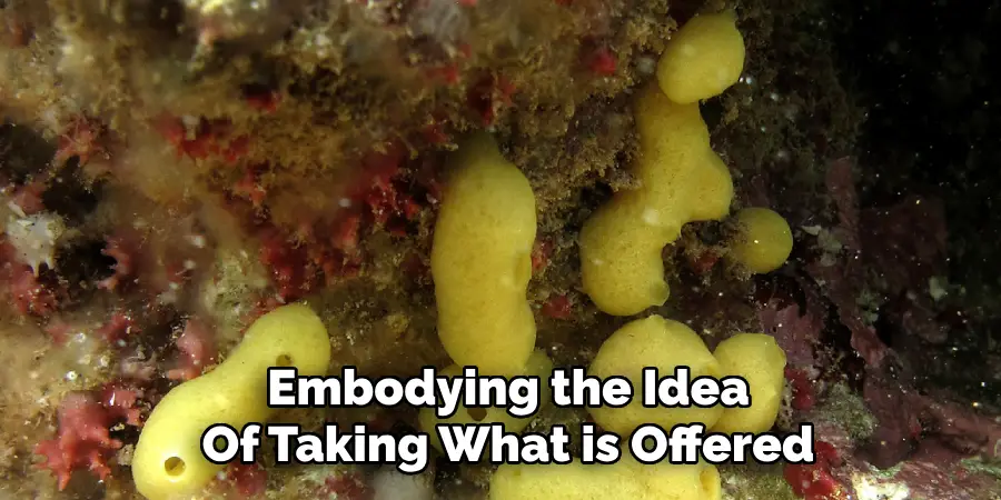 Embodying the Idea
Of Taking What is Offered