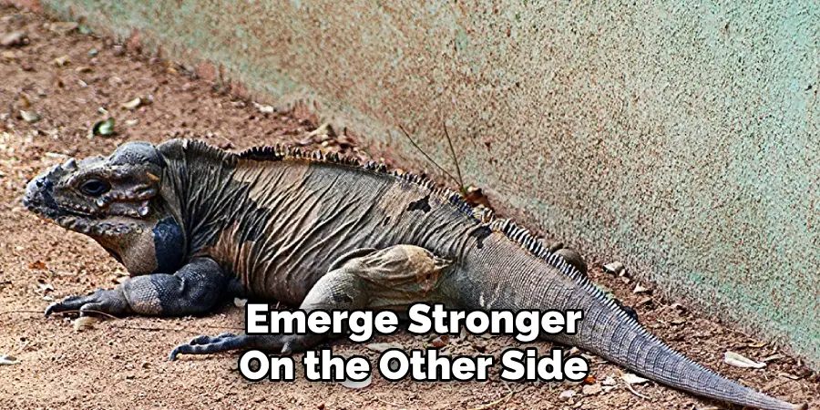Emerge Stronger
On the Other Side