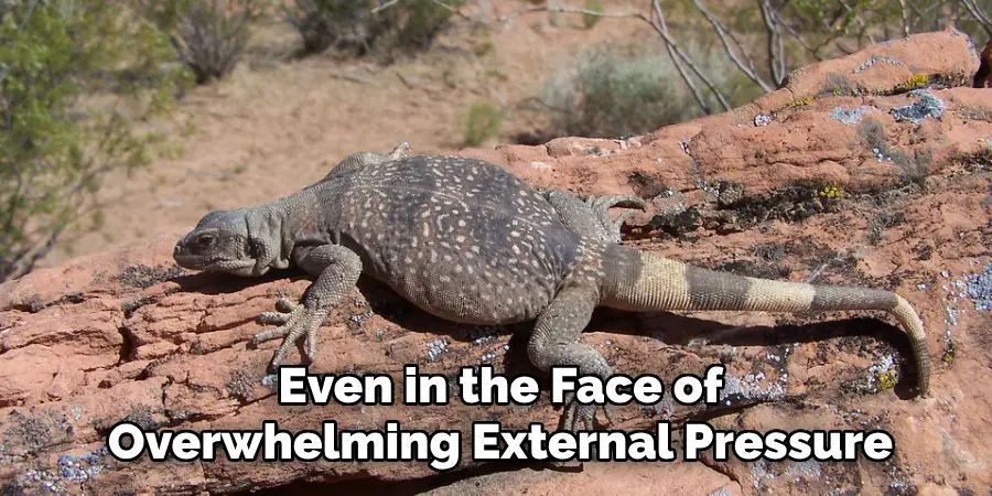 Even in the Face of
Overwhelming External Pressure
