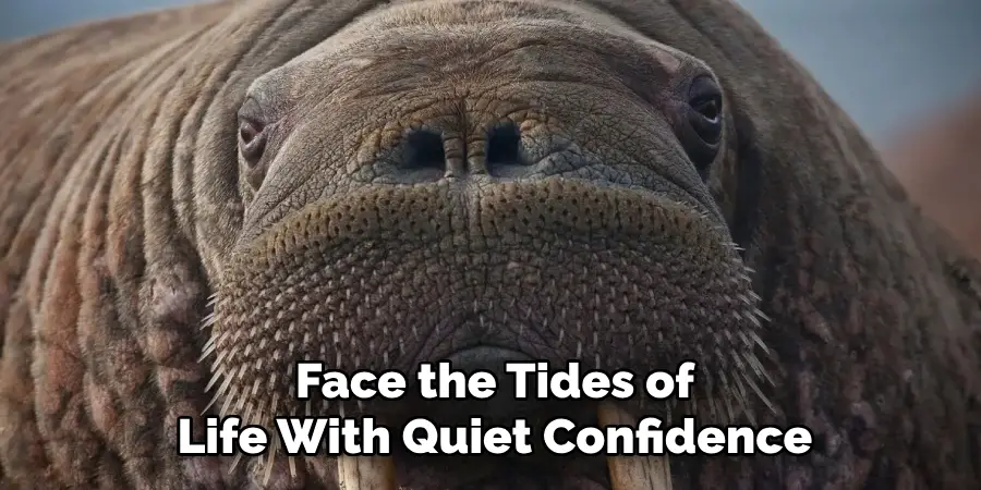 Face the Tides of
Life With Quiet Confidence